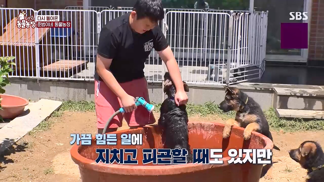 TV 동물농장 1189화 다시보기.ts_20240922_161950.372.jpg