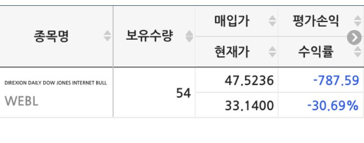 라오어 미국주식 무한매수법 WEBL