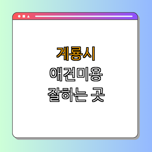 충청남도 계룡시 애견미용 잘하는 곳 BEST4 ｜ 애견 미용상담 ｜ 애견 미용비용 비교 ｜ 애견 미용 후기 ｜ 추천 애견미용샵 ｜ 총정리