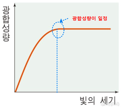 광합성량과 빛의 세기