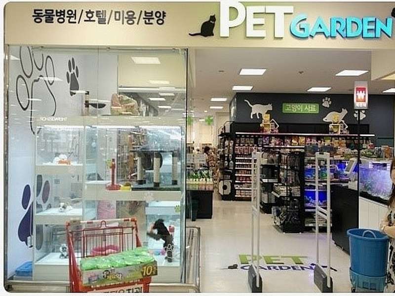 경기도 의왕시 애견미용 잘하는 곳 BEST4 | 예약하기 | 후기로 알아보기 | 가격비교하기 | 인기 샵 소개 | 총정리 - 2. 펫가든동물병원 롯데마트 의왕점 소개 2. 펫가든동물병원 롯데마트 의왕점 소개