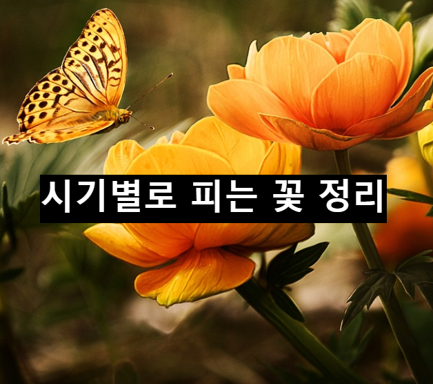  따뜻해지는 날씨에 알아보는 꽃 피는 시기 정리