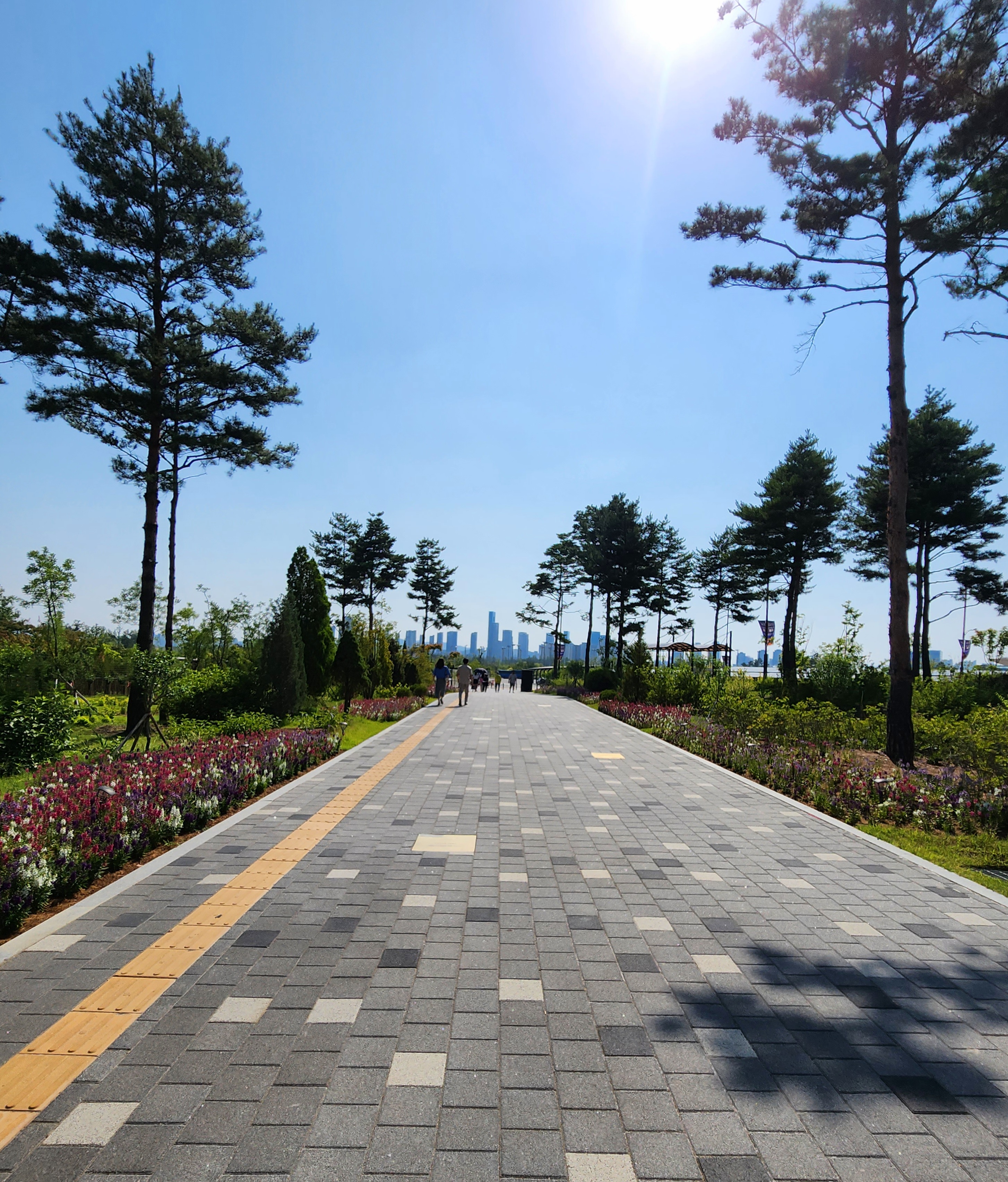 세종 가볼만한곳 국립세종수목원 지중해온실