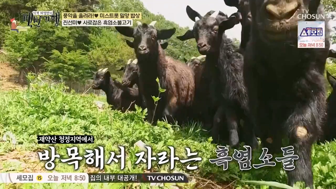식객 허영만의 백반기행.E247.240513p-NEXT.mp4_20240513_195728.470.jpg