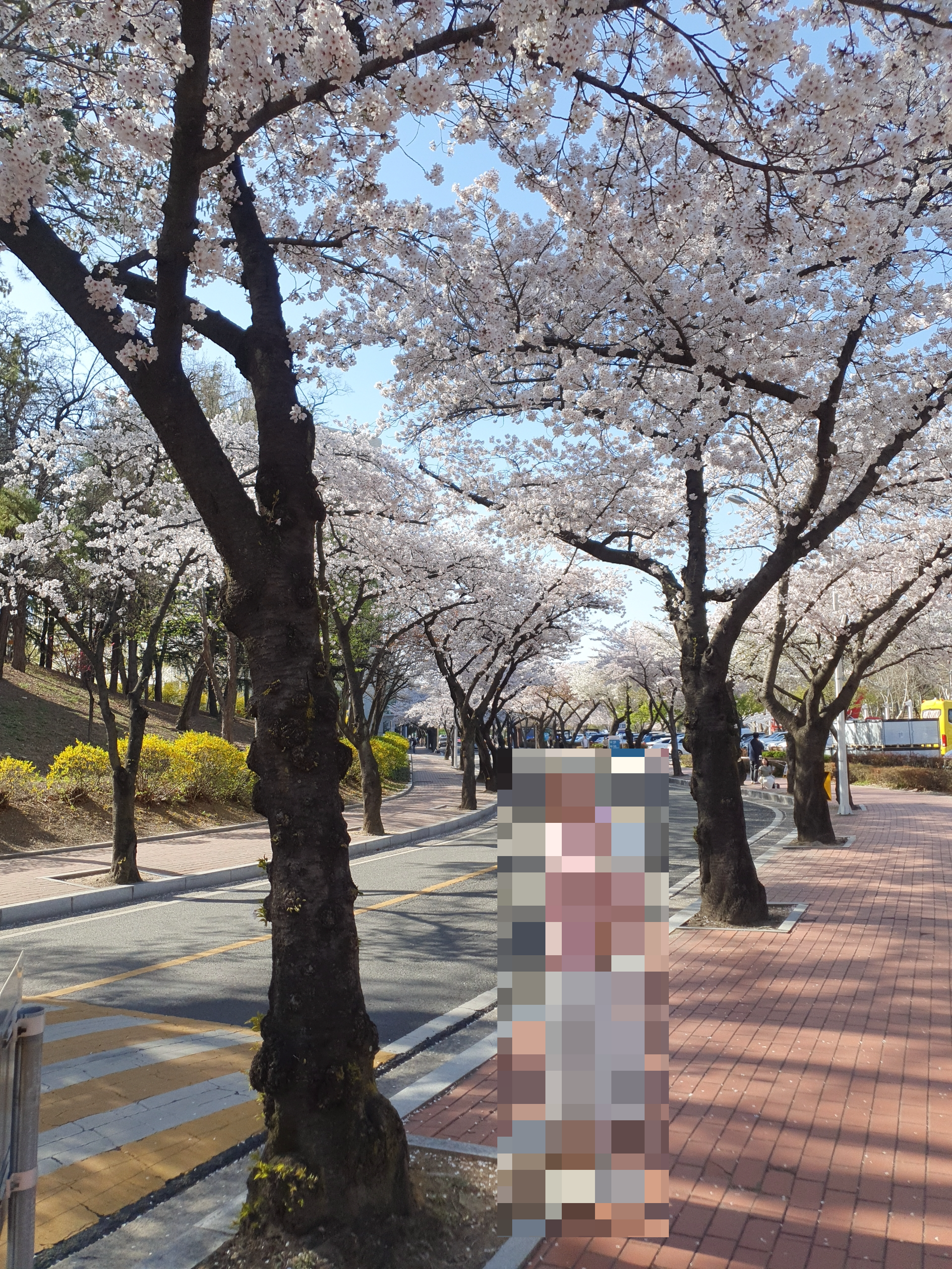 경북대학교 일청담 연못 주변 4