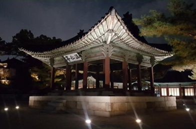 서울 고궁 야간개장