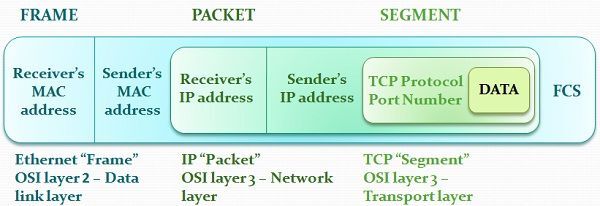  Packets and Frames