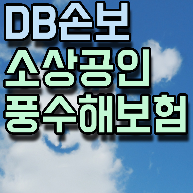 DB손보 소상공인 풍수해보험 썸네일 이미지