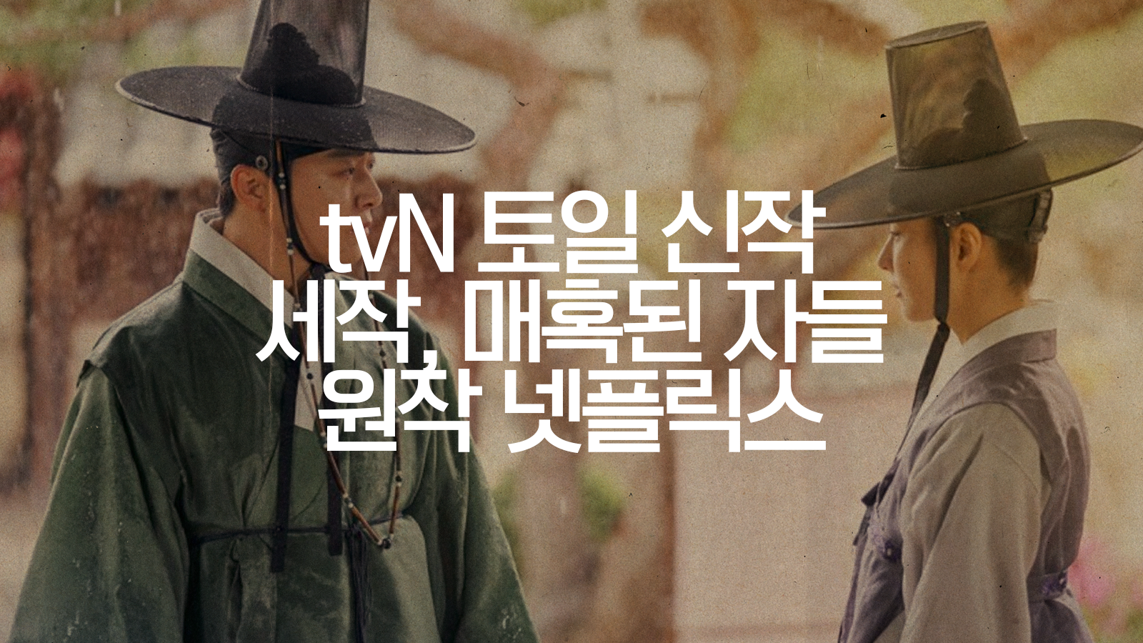  조정석 신세경 드라마 세작, 매혹된 자들 tvN 원작 넷플릭스 사극 로맨스