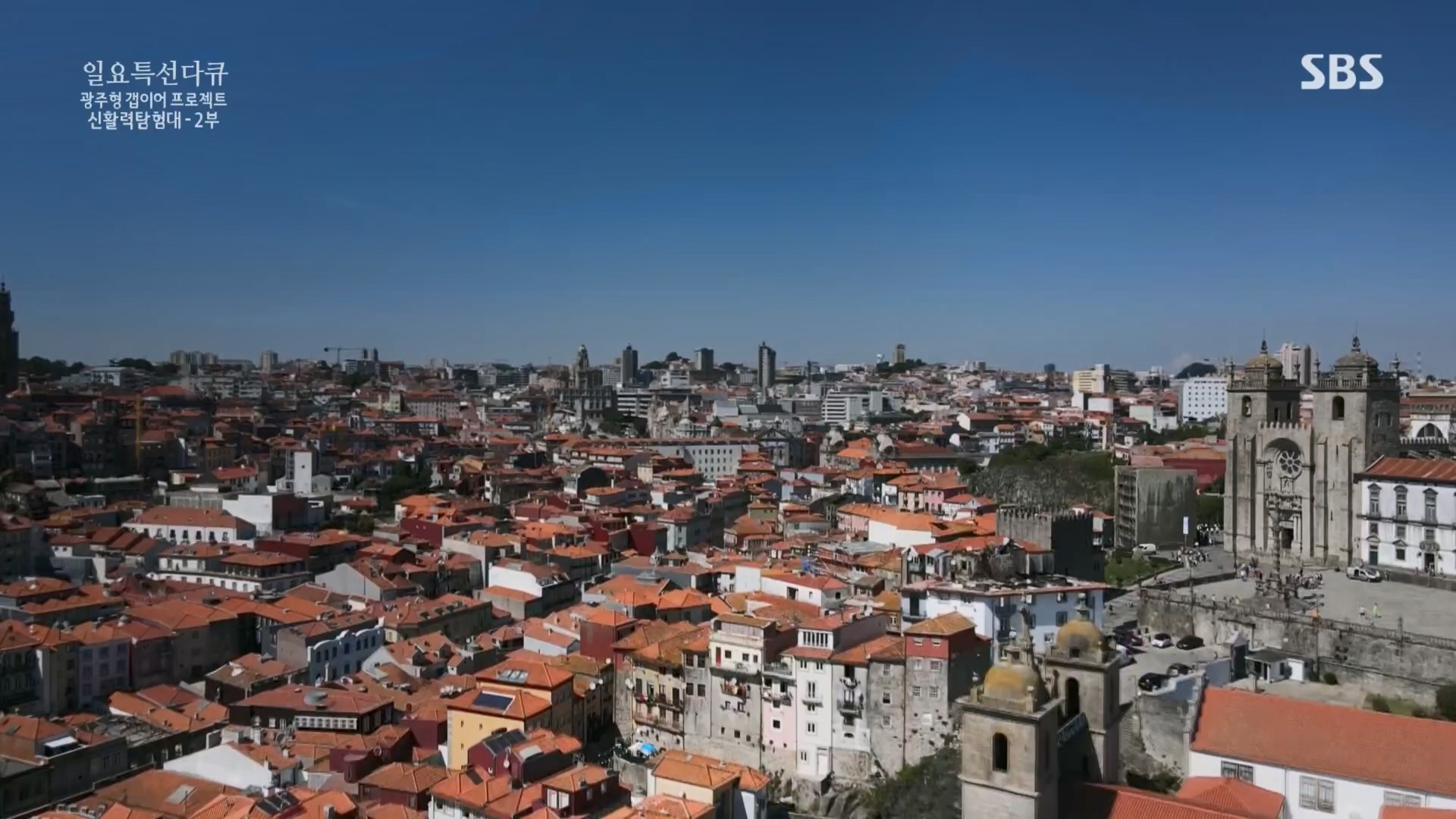 일요 특선 다큐멘터리.E326.231029p.H264-F1RST.mp4_20231029_160648.342.jpg