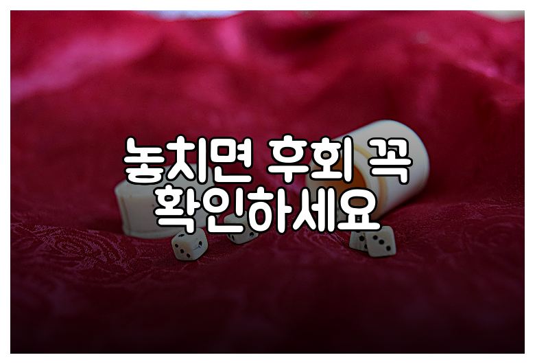 놓치면 후회 꼭 확인하세요