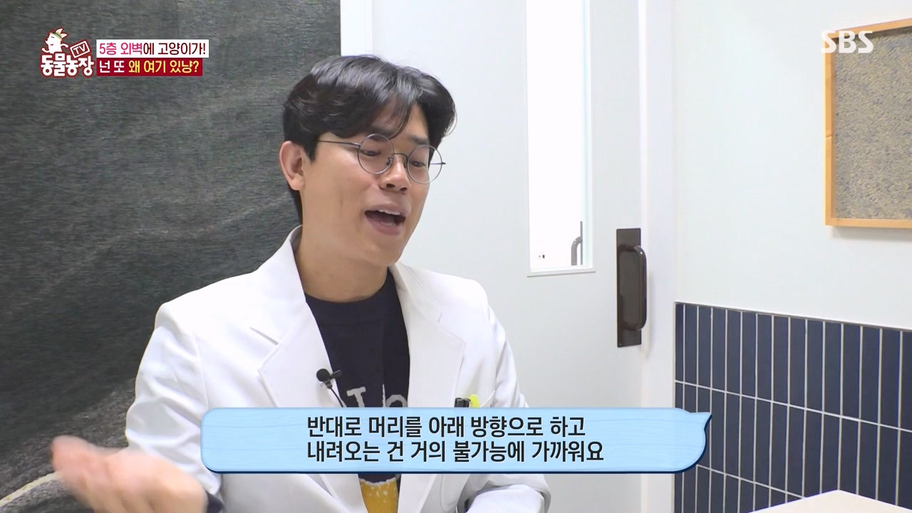 TV 동물농장.E1146.231120p-NEXT.mp4_20231119_175253.013.jpg