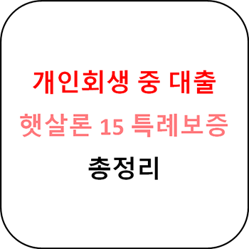  개인회생 중 추가 대출 1편 - 햇살론 15 특례보증