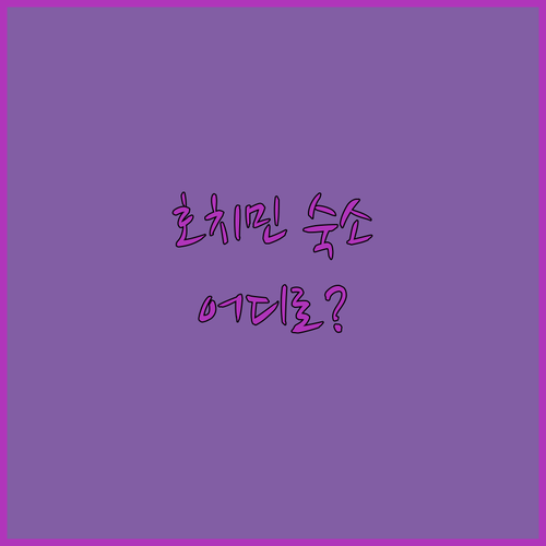호치민 숙소 어디로 떠날까? 호텔 v