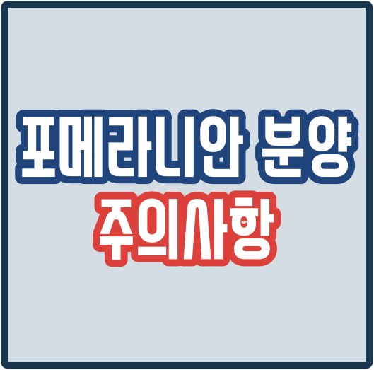  포메라니안 분양 주의사항