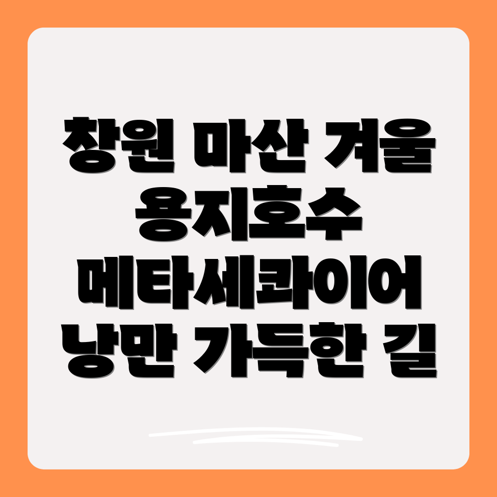 용지호수 메타세콰이어 가로수길