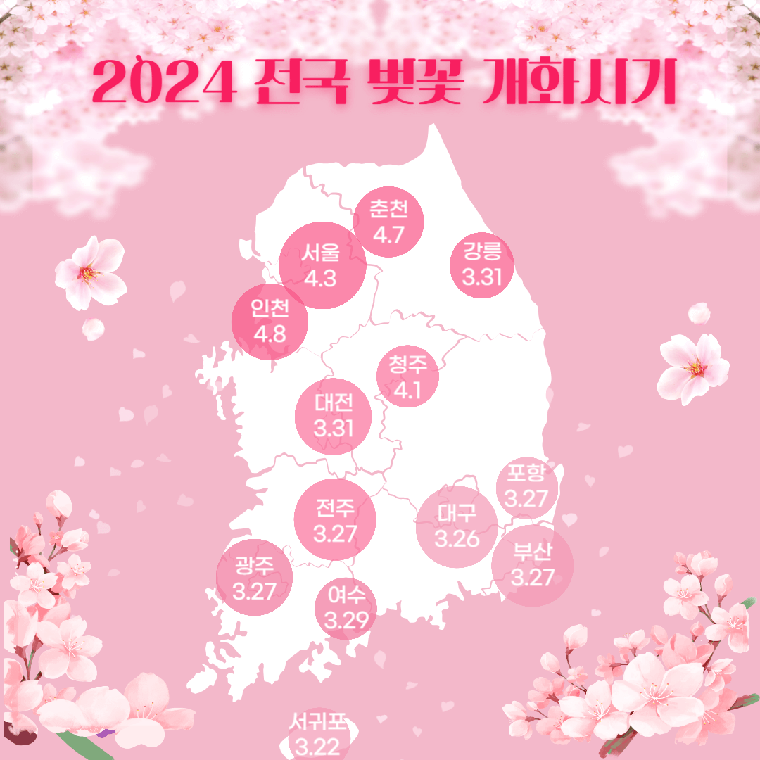 2024 전국 벚꽃 개화시기