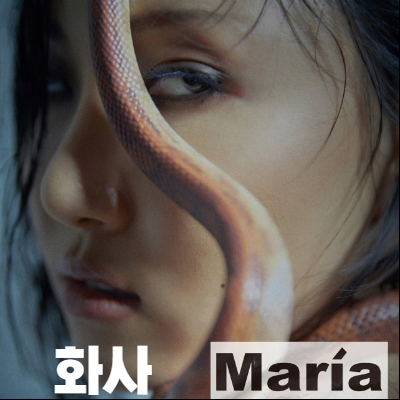  화사 마리아 뮤비 리뷰