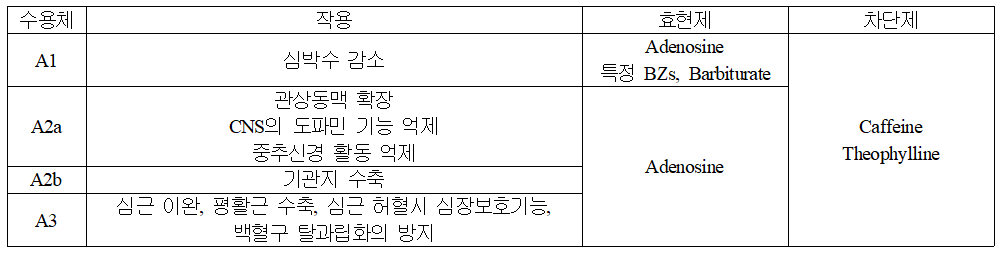 cAMP에 의한 전신 부작용