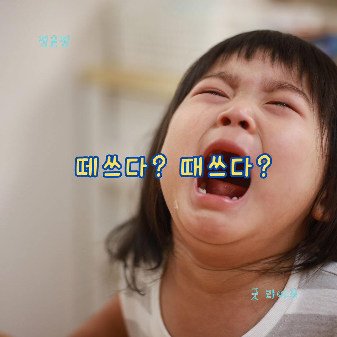 떼쓰다&#44; 때쓰다&#44; 떼&#44; 때&#44; 헷갈리는 한글 맞춤법