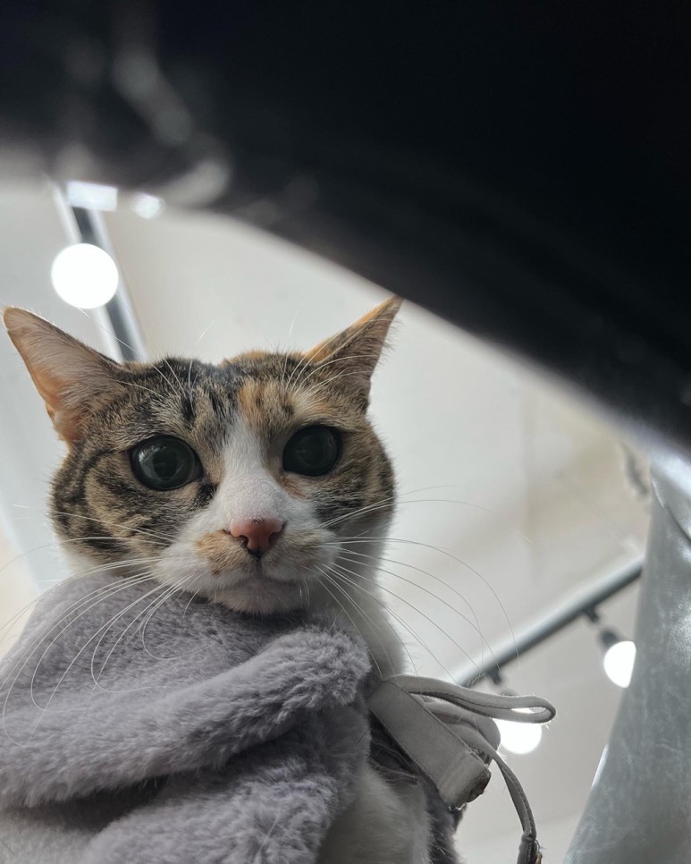 미용실 창업 미용실 창업오픈 전문 18