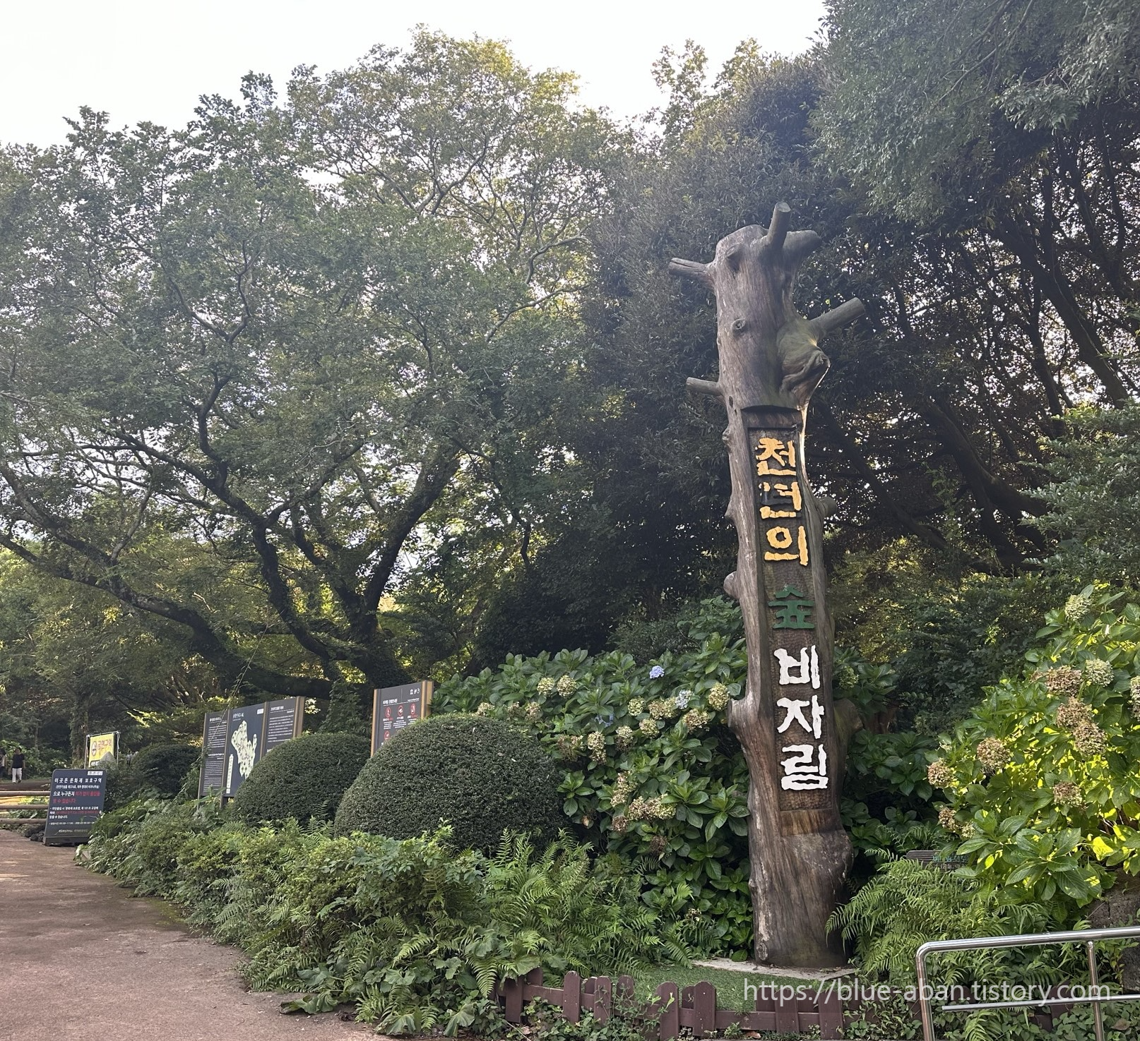 비자림 입구