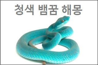 청색뱀꿈해몽
