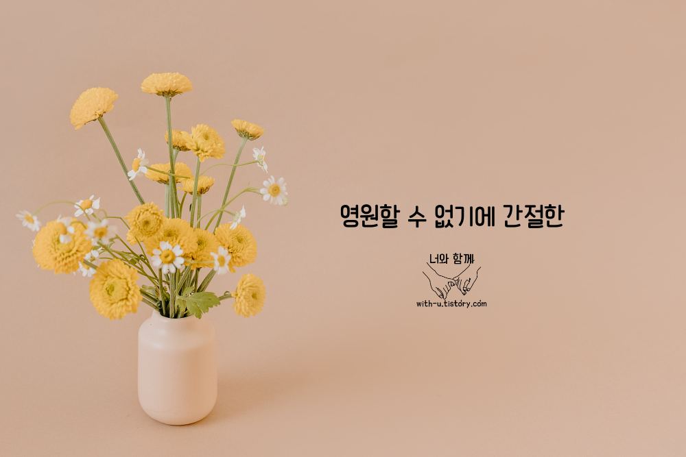  영원 명언 : 짧고 좋은 글귀 : 짧은 명언