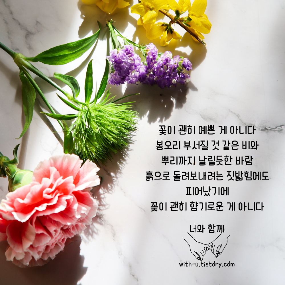  괜히 명언 : 짧고 좋은 글귀 : 짧은 명언