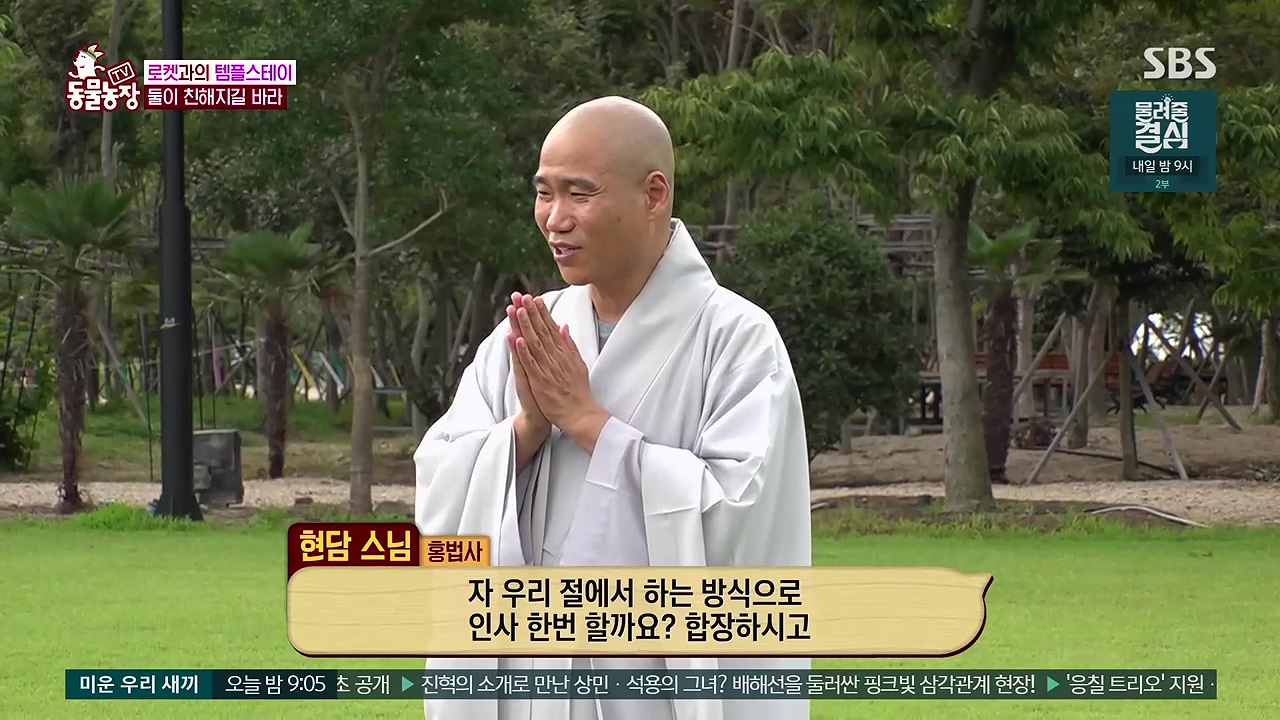TV 동물농장 1189화 다시보기.ts_20240922_161604.526.jpg
