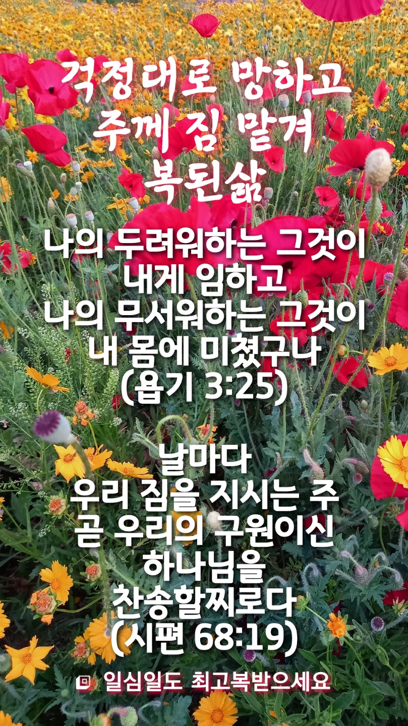 오늘의짐 이미지