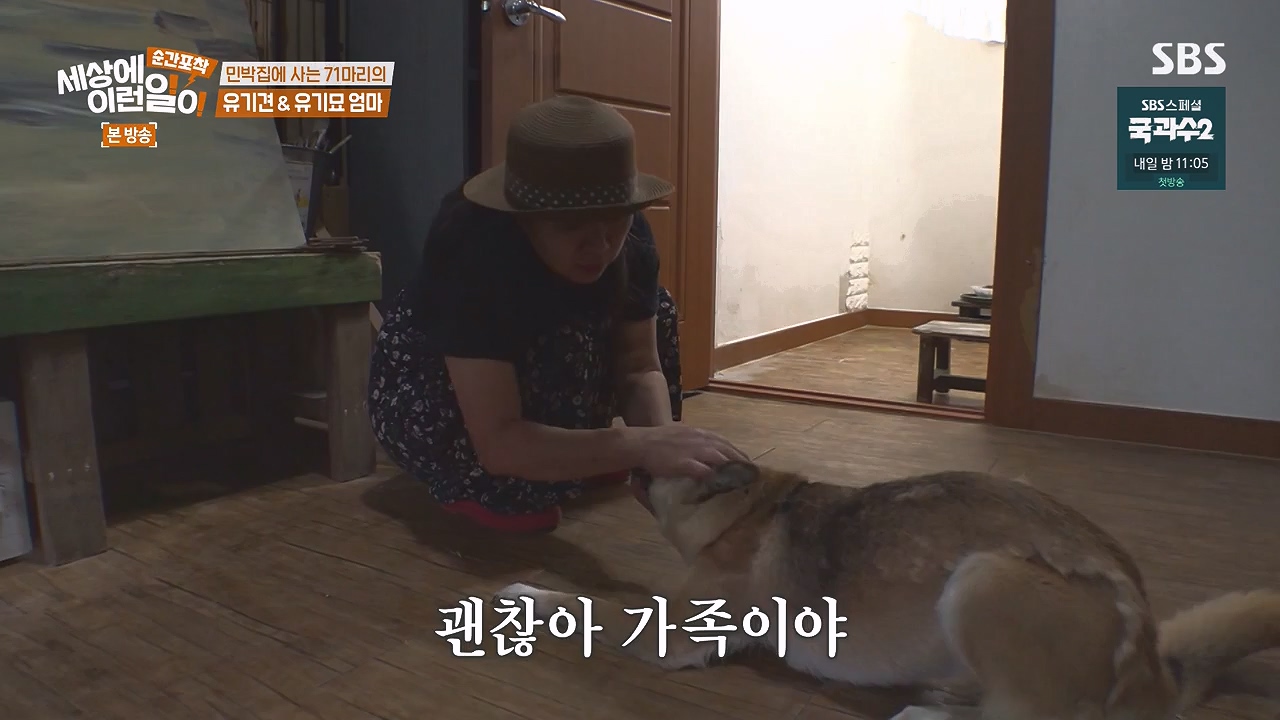 순간포착 세상에 이런일이.E1244.230903p-NEXT.mp4_20230903_173254.882.jpg
