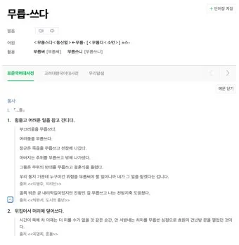 무릎쓰고 무릅쓰고 맞춤법 맞는 표현 예시_16