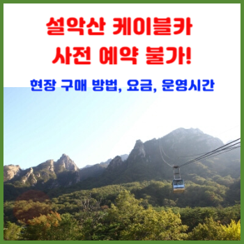 설악산 케이블카 티켓, 사전 예약 없이 현장에서 바로 구매하세요!