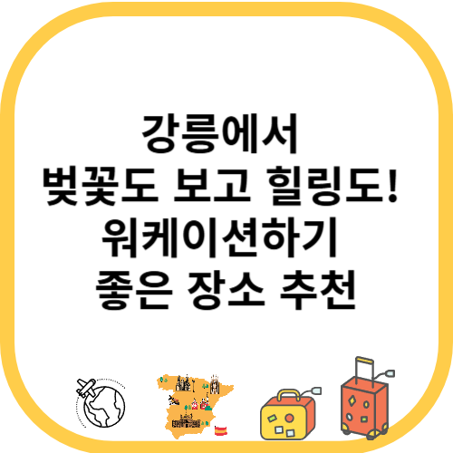 강릉에서 벚꽃도 보고 힐링도! 워케이션하기 좋은 장소 추천