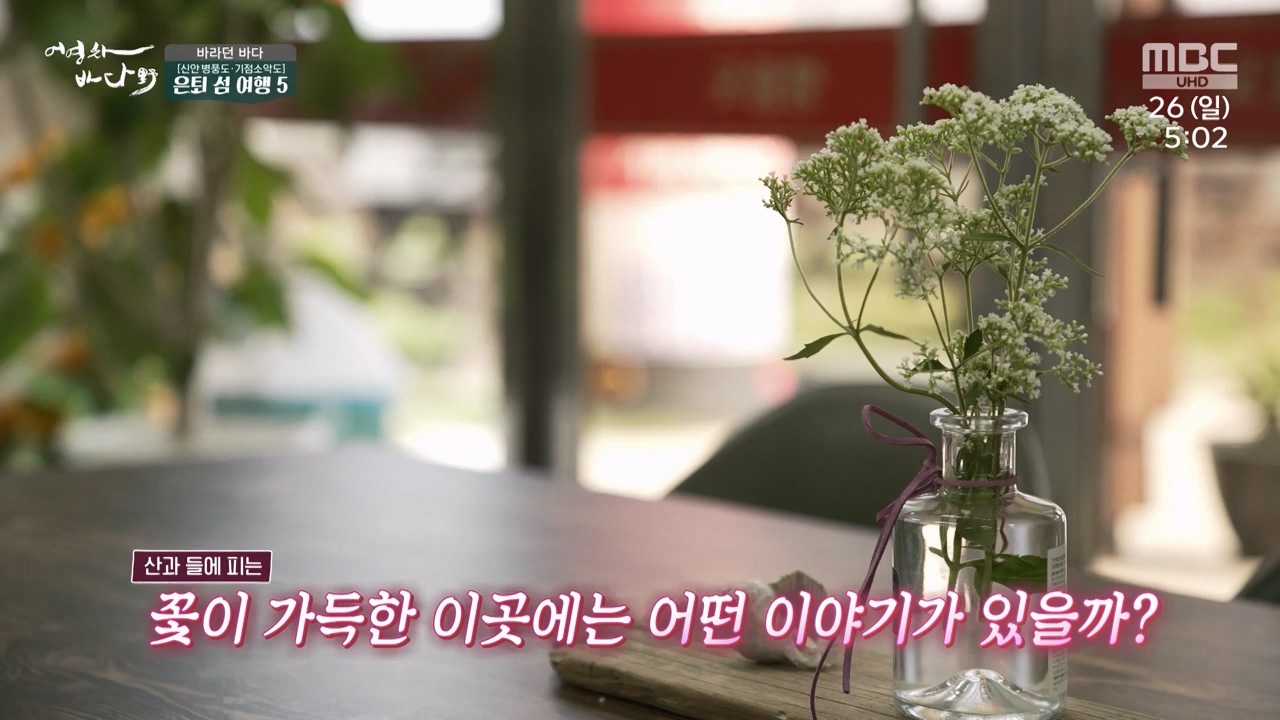 MBC 네트워크 특선 푸른백세 어영차 바다야.E1650.231127p-NEXT.mp4_20231202_165059.079.jpg