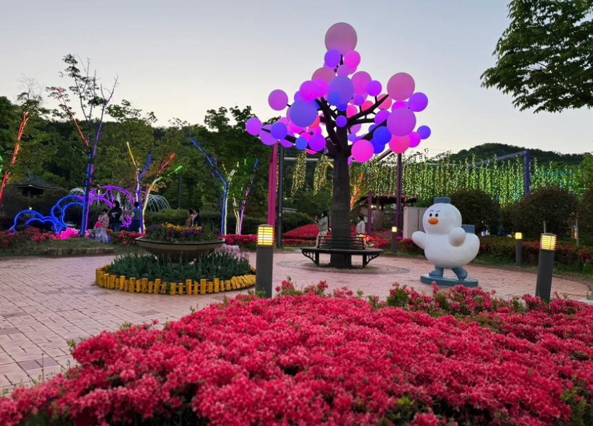 빛 축제1