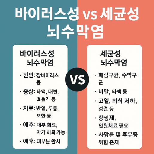 바이럿, 세균성 뇌수막염 비교사진