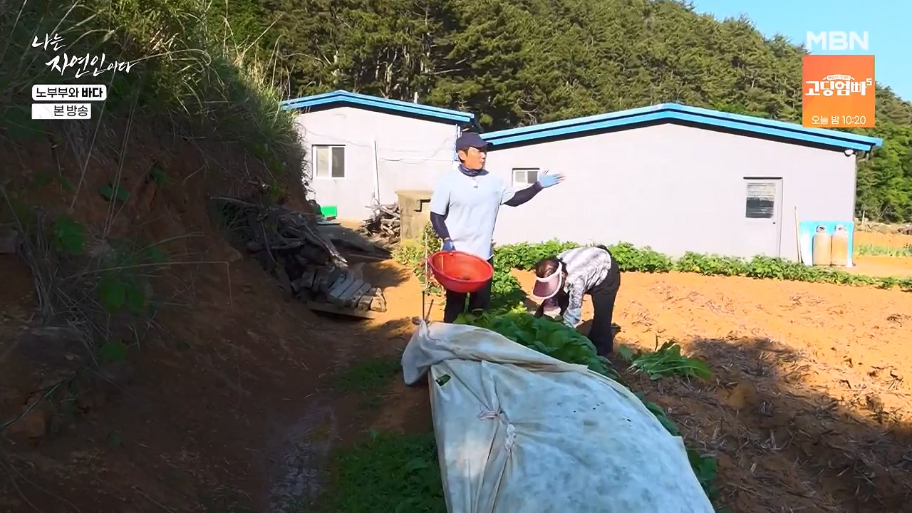 나는 자연인이다.E610.240620p-NEXT.mp4_20240620_194755.644.jpg