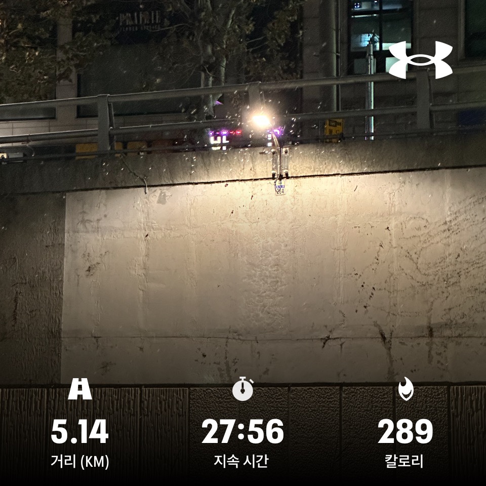  3주 동안 평일 매일 새벽 5km 달리기 후기(공복 유산소, 다이어트 가능할까?)