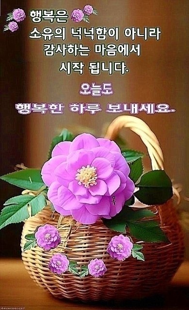 깔끔이환경 이미지
