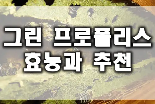  그린 프로폴리스 효능, 부작용, 추천 제품 바로가기