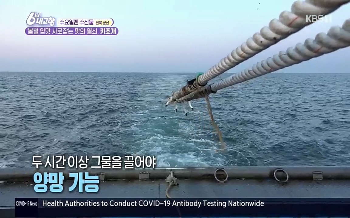 6시 내고향.E7510.220414p.H264-F1RST.mp4_20220419_183220.377.jpg