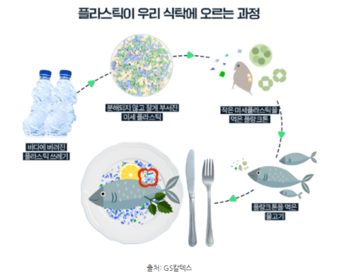 플라스틱이 식탁에 오르는 과정