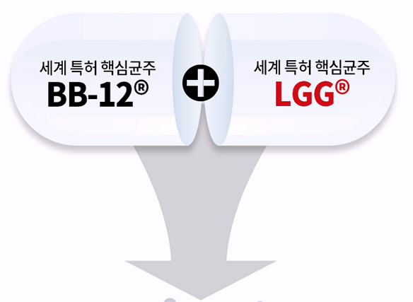 bb12-유산균-lgg-유산균