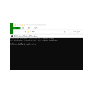  특정경로에서 cmd 실행시키기