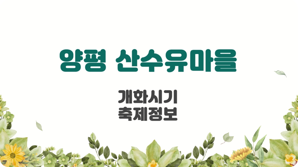 양평 산수유마을 축제 개화시기 및 주차장
