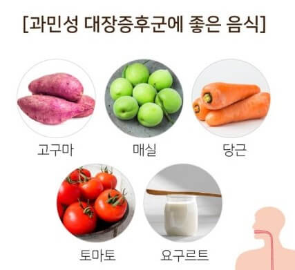 과민성 대장 증후군에 도움이 되는 음식