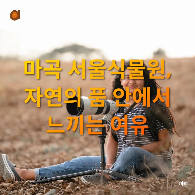 감성사진_1
