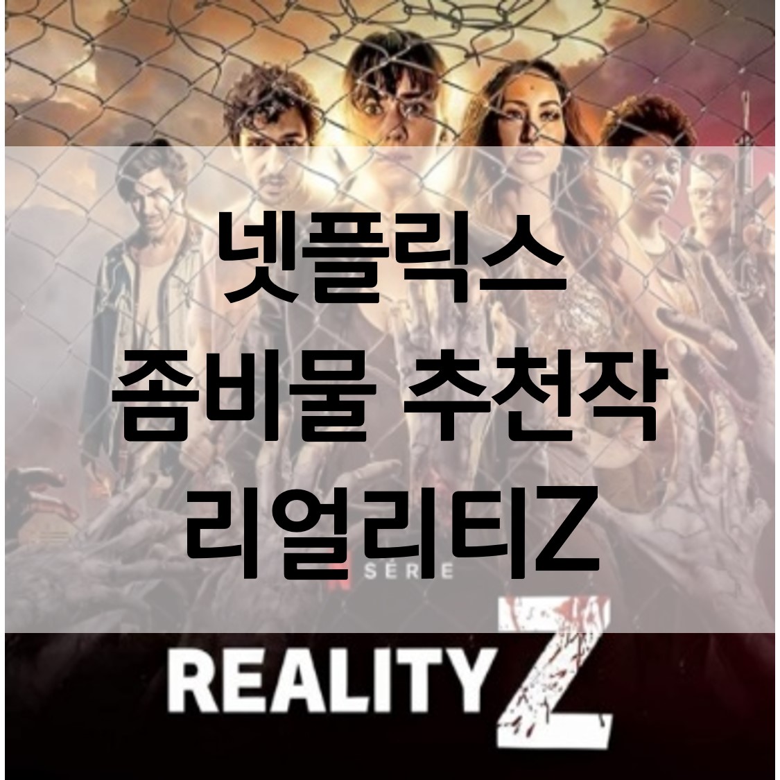  넷플릭스 좀비 드라마 추천 리얼리티z